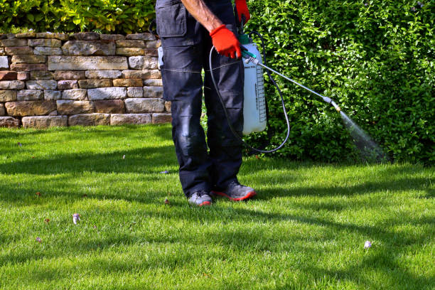 Trusted Terrace Heights, WA Pest Control Experts